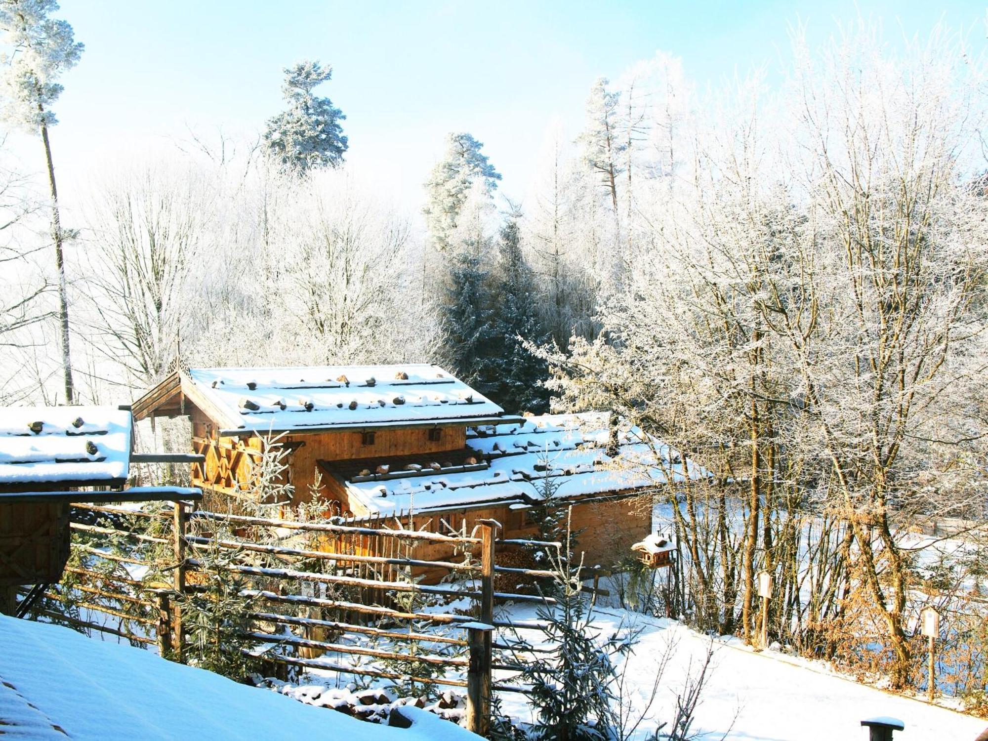Eco Friendly Chalet Near The Lake In Asten Титмонинг Экстерьер фото